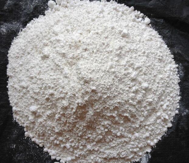 貝殼粉與石灰粉的區別有哪些？五個方法教您辨別